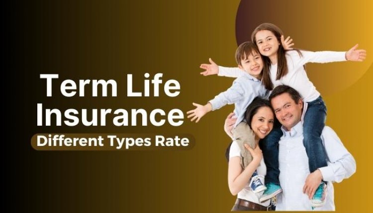 Term Life Insurance: What It Is, Different Types, Rate, calculator
